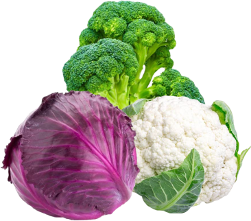 Vegetables